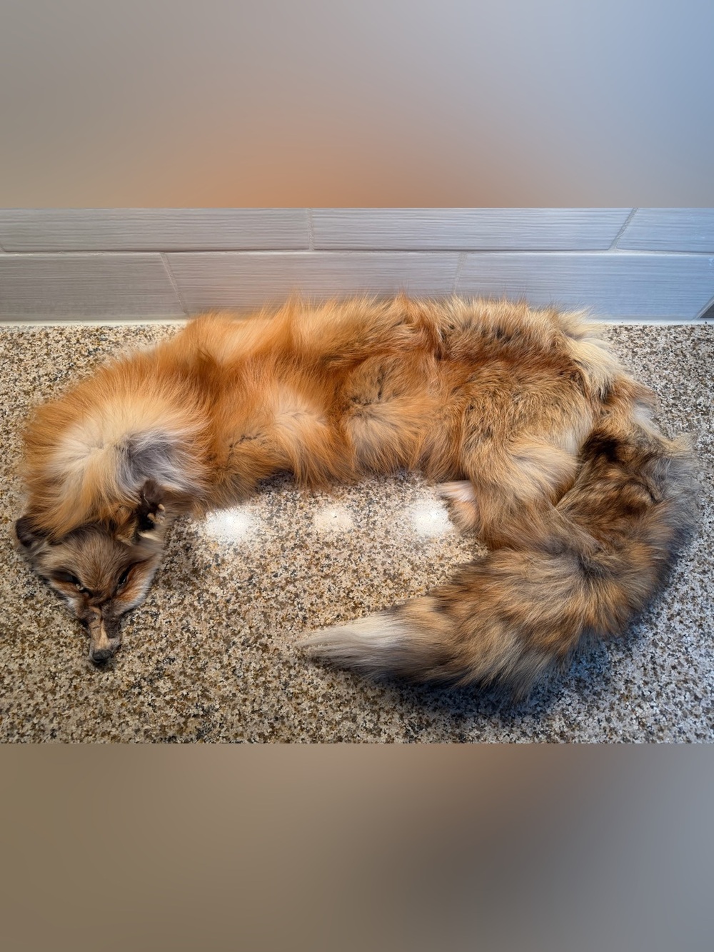 Luxurious Fox Fur Stole - Rich Red-Brown Tones